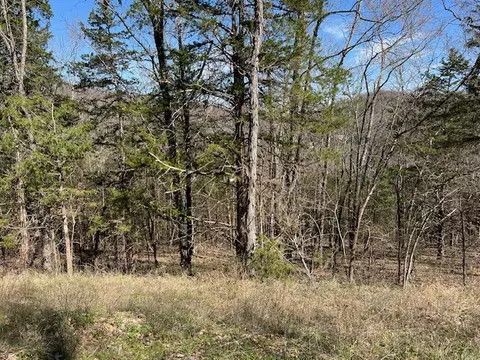 14 Thunderbird Ln, Holiday Island, AR 72631