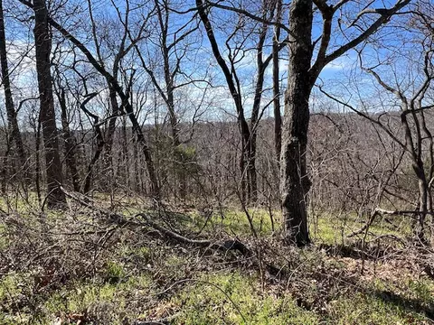 85 Mercury Ln, Holiday Island, AR 72631