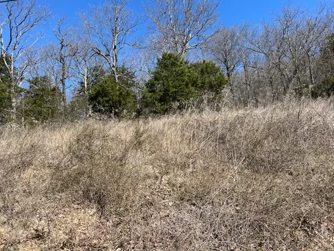 225 Stateline Dr, Holiday Island, AR 72631