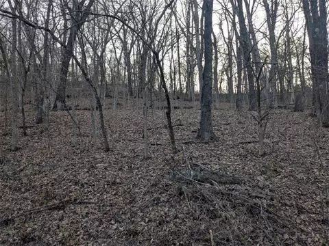 tbd Thunderbird Dr, Holiday Island, AR 72631