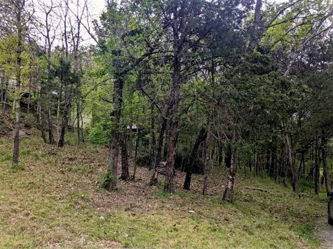 tbd Leatherwood Dr, Holiday Island, AR 72631