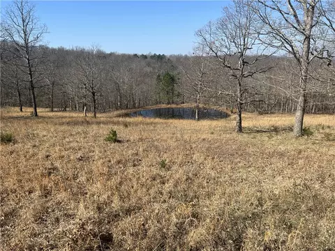 View/Area - 483 Nc 8060, Jasper, AR 72641 photo 3 of 4