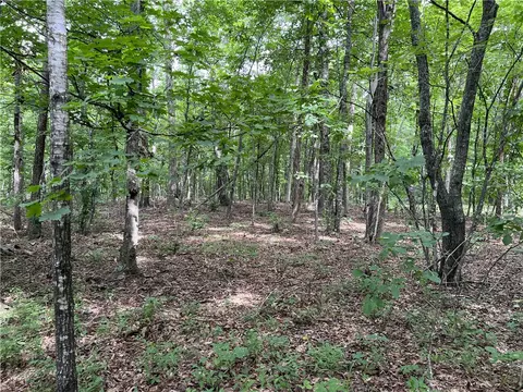 Exterior - 483 Nc 8060, Jasper, AR 72641 photo 16 of 21