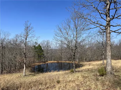 View/Area - 483 Nc 8060, Jasper, AR 72641 photo 1 of 4