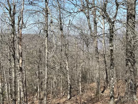 Other - 483 Nc 8060, Jasper, AR 72641 photo 8 of 10