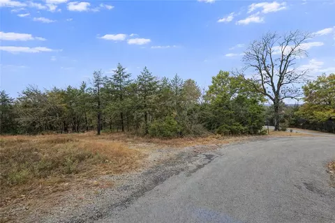 lot16 Mc 2048, Lead Hill, AR 72644 photo 7