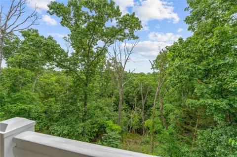 Other - 128 Mulligan Ct, Branson, MO 65616 photo 4 of 4