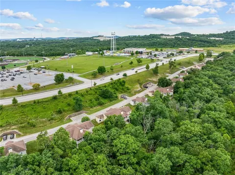 View/Area - 128 Mulligan Ct, Branson, MO 65616 photo 5 of 9
