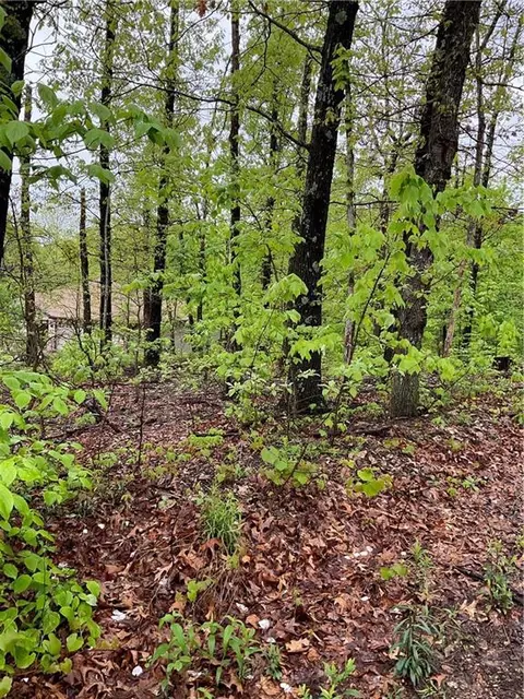 St Asaph Circle, Bella Vista, AR 72714