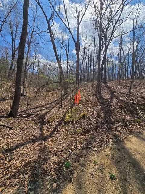 0000 Nc 8389, Jasper, AR 72641 photo 23