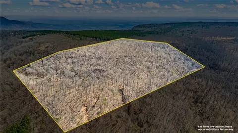 40 Acres, Dardanelle, AR 72834