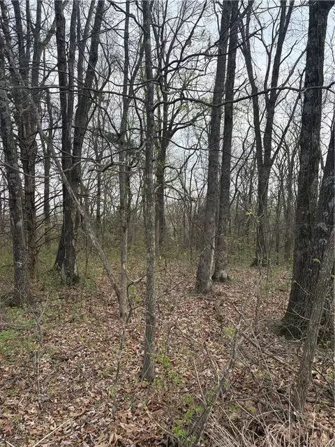 lot S 166 And 167 Huckleberry Cir #7-RURBAN, Rogers, AR 72756
