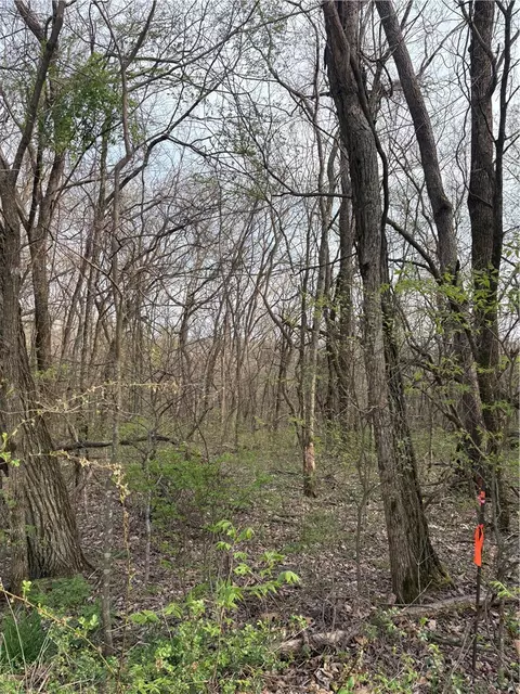 lot S 169 170 171 Huckleberry Cir #7-RURBAN, Rogers, AR 72732