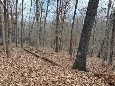 Celtic Drive, Bella Vista, AR 72714