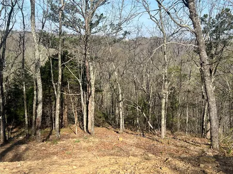 tbd J Nc 6827, Jasper, AR 72641 photo 16