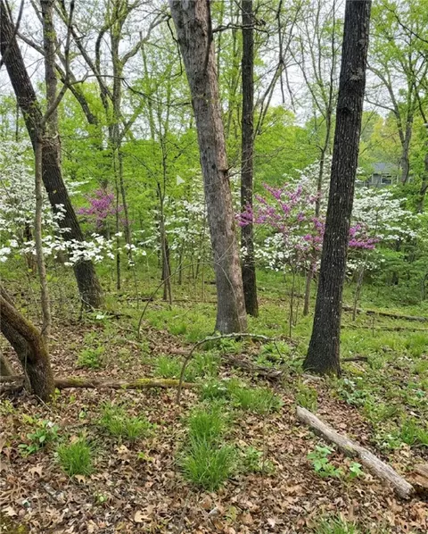 lot16 Bedlington Ln, Bella Vista, AR 72714
