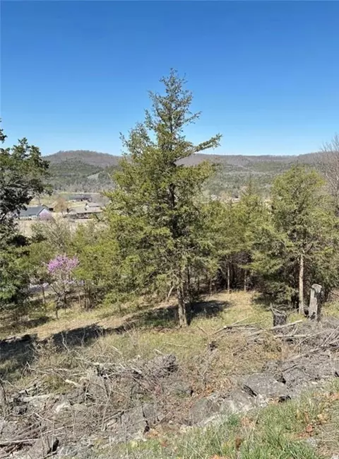 9 Quailrun Ln, Holiday Island, AR 72631