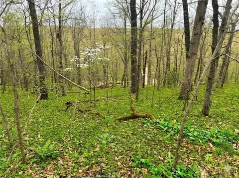 lot60 York Dr, Bella Vista, AR 72714