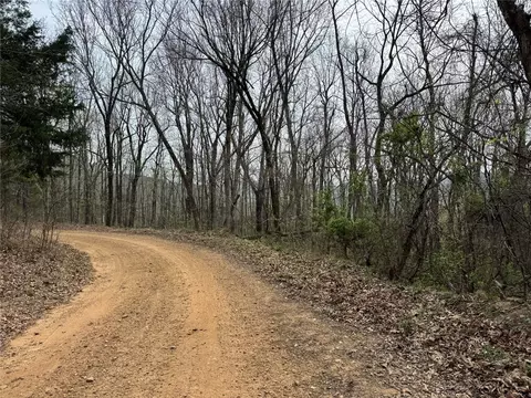 000 Nc 5083, Mount Judea, AR 72655 photo 19