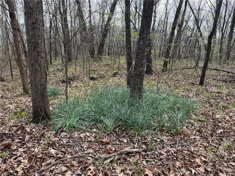 000 Nc 5083, Mount Judea, AR 72655 photo 3