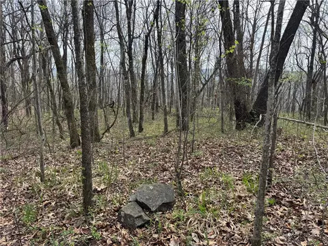 000 Nc 5083, Mount Judea, AR 72655 photo 2
