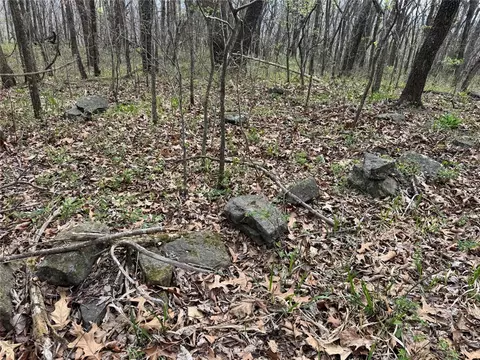 000 Nc 5083, Mount Judea, AR 72655 photo 18