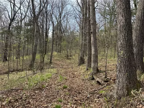 000 Nc 5083, Mount Judea, AR 72655 photo 8