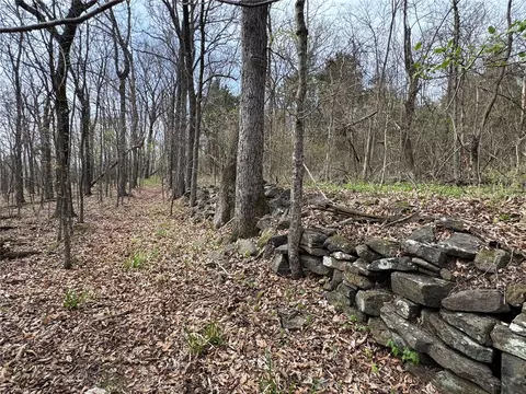 000 Nc 5083, Mount Judea, AR 72655 photo 17