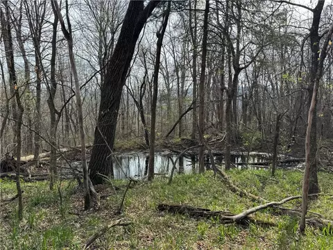 000 Nc 5083, Mount Judea, AR 72655 photo 11