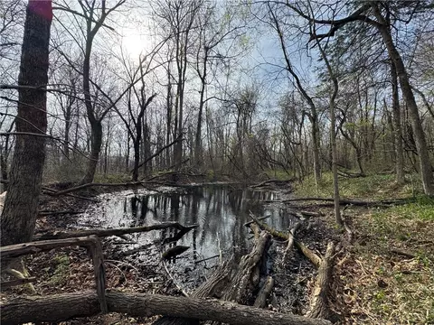 000 Nc 5083, Mount Judea, AR 72655 photo 13