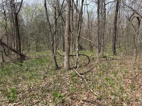 000 Nc 5083, Mount Judea, AR 72655 photo 5