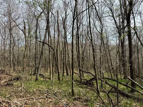 000 Nc 5083, Mount Judea, AR 72655 photo 10