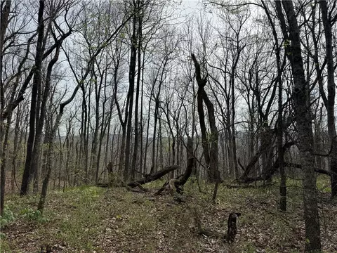 000 Nc 5083, Mount Judea, AR 72655 photo 4