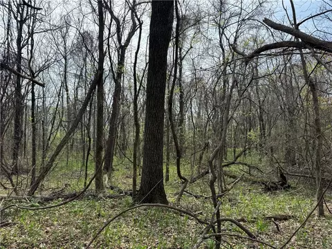 000 Nc 5083, Mount Judea, AR 72655 photo 6