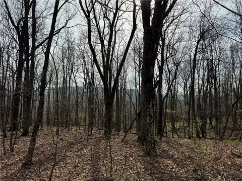 000 Nc 5083, Mount Judea, AR 72655 photo 15