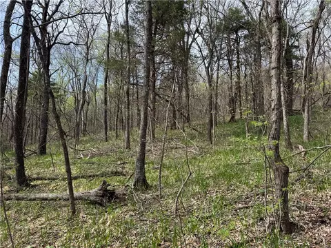 000 Nc 5083, Mount Judea, AR 72655 photo 7