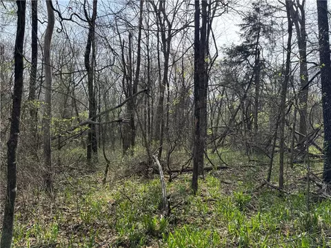 000 Nc 5083, Mount Judea, AR 72655 photo 9