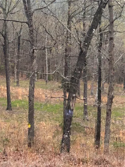 6563 Madison 2340, Huntsville, AR 72740