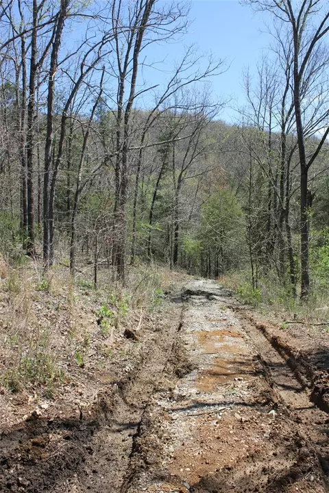 975-00026 001 Washington St, Harrison, AR 72601 photo 29