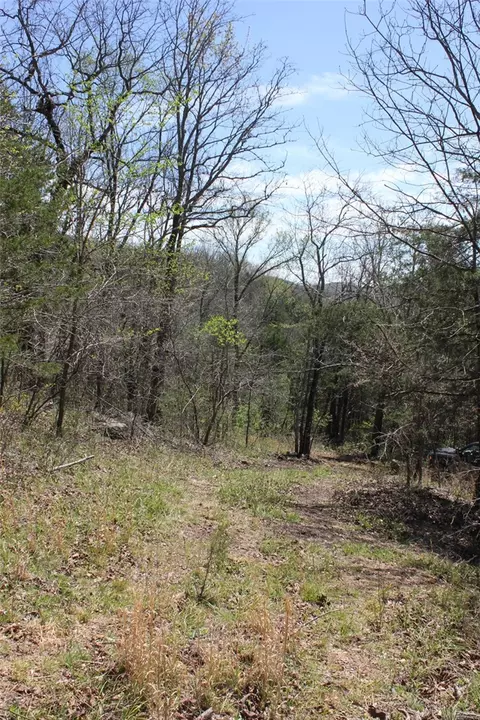 975-00026 001 Washington St, Harrison, AR 72601 photo 27