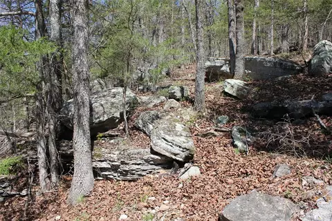 975-00026 001 Washington St, Harrison, AR 72601 photo 11