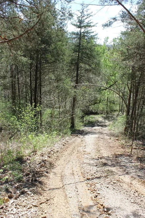 975-00026 001 Washington St, Harrison, AR 72601 photo 31