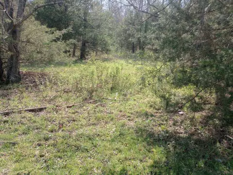 975-00026 001 Washington St, Harrison, AR 72601 photo 36