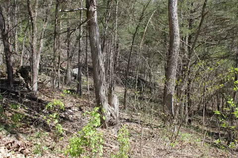 975-00026 001 Washington St, Harrison, AR 72601 photo 33