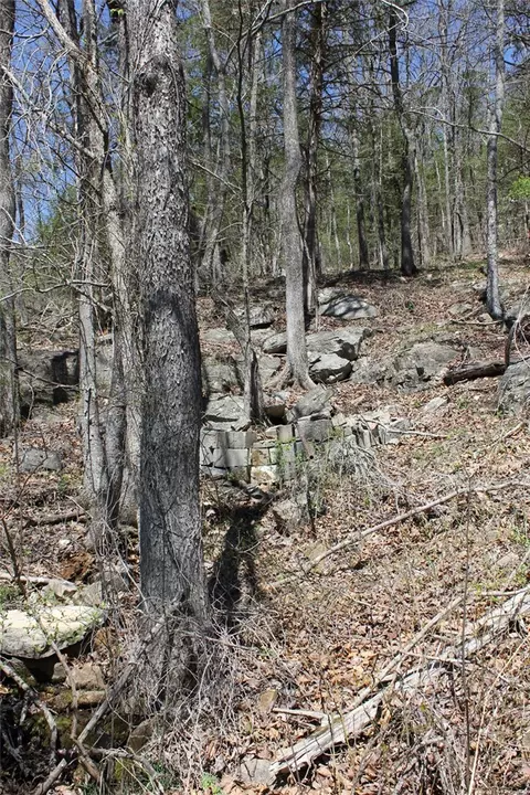 975-00026 001 Washington St, Harrison, AR 72601 photo 30