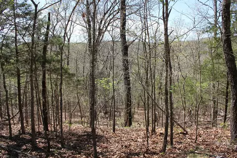 975-00026 001 Washington St, Harrison, AR 72601 photo 7