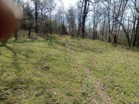 975-00026 001 Washington St, Harrison, AR 72601 photo 6