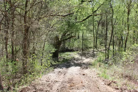 975-00026 001 Washington St, Harrison, AR 72601 photo 34