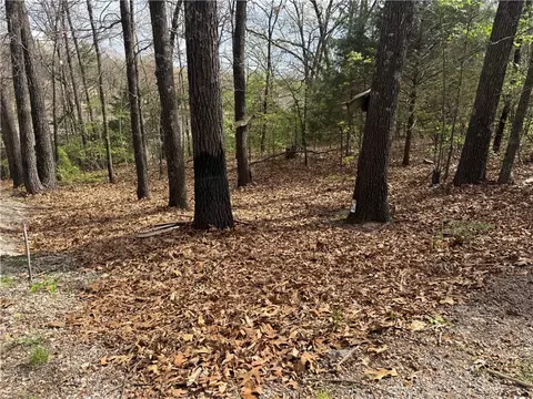 Entry Road, Ridgedale, MO 65739
