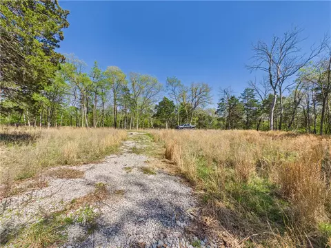5340 E Persimmon Pt, Lead Hill, AR 72644 photo 9